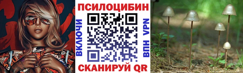 Псилоцибиновые грибы прущие грибы  Большой Камень 