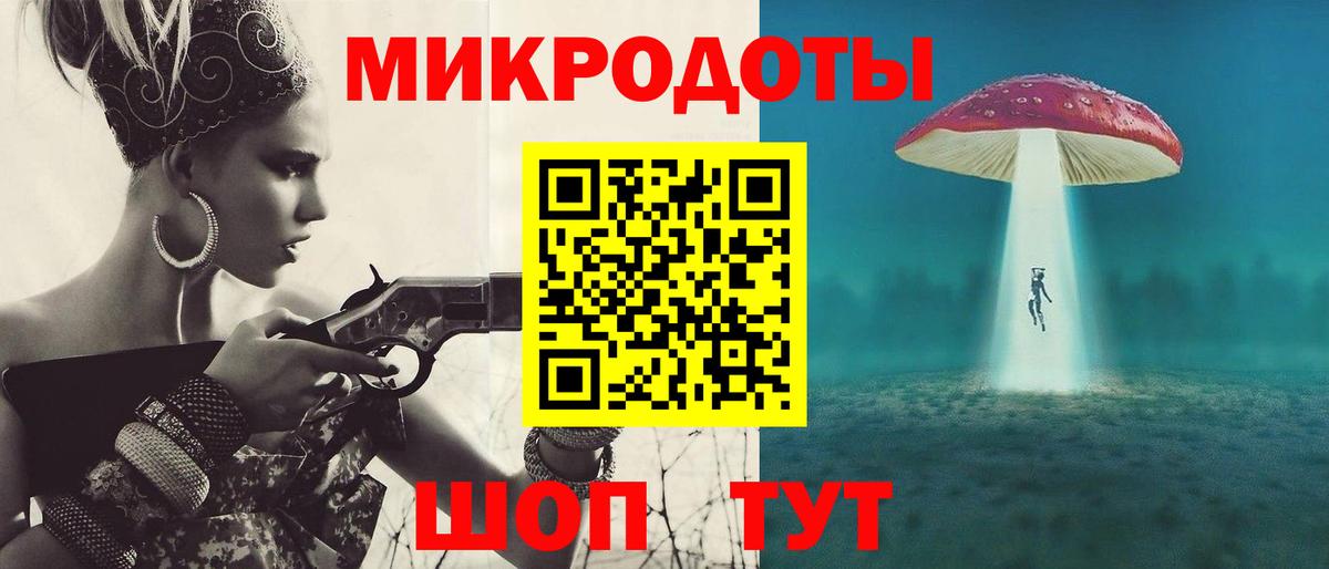 Галлюциногенные грибы Psilocybine cubensis Большой Камень